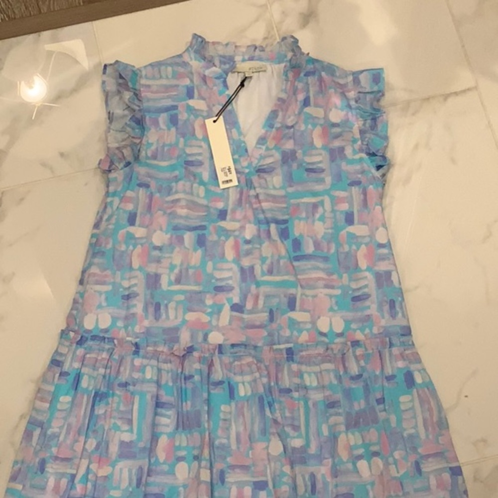 Pinch Blue and Pink Casual Dress